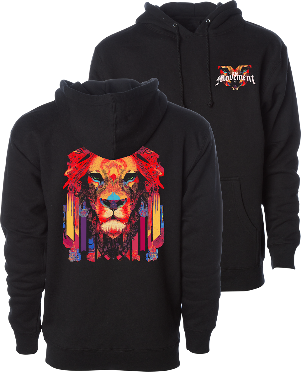 TECHNICOLOR HOODIE /0222 /0231 /0232 /0241 /*-