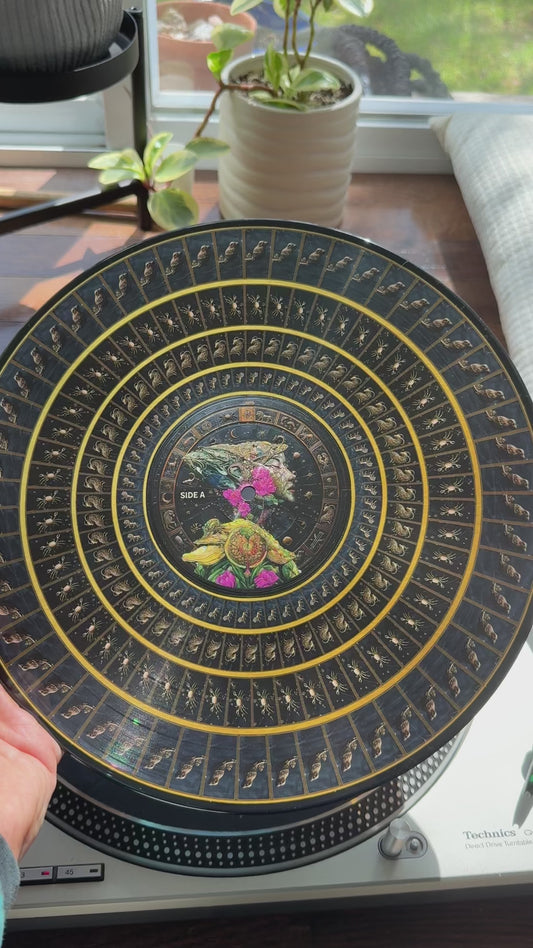 Visions Vinyl